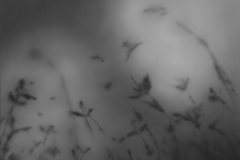 Begreif_mich_3_120x95cm_2020