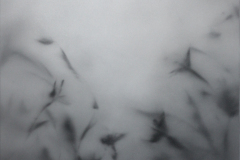 Vage_Nr1_85x95cm_021
